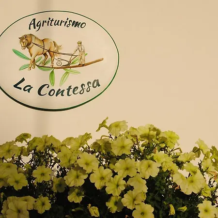 La Contessa *